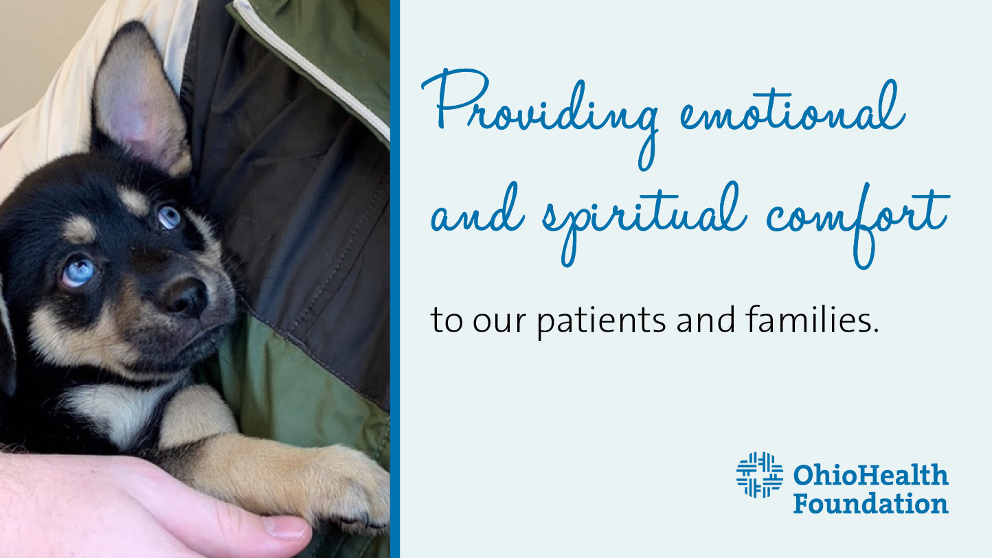 2019 Hospice Year End